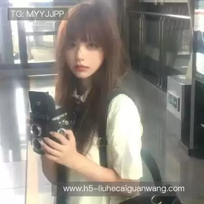 赵鸽